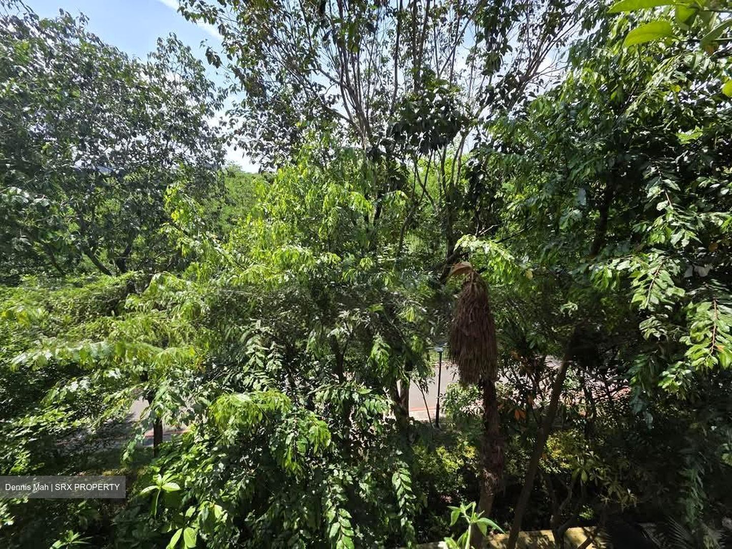 Kingsford Waterbay (D19), Apartment #539028191